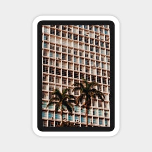 Building Pattern with Palm Trees - Aesthetic Magnet