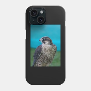 Saker Falcon Phone Case