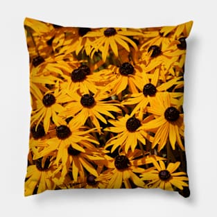 A Bed of Black-Eyed Susans / Rudbeckias in the Summer Sun Pillow