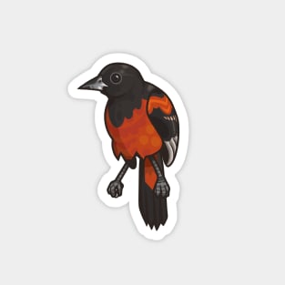 Orchard Oriole Magnet