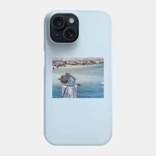 Pelican Bay Phone Case