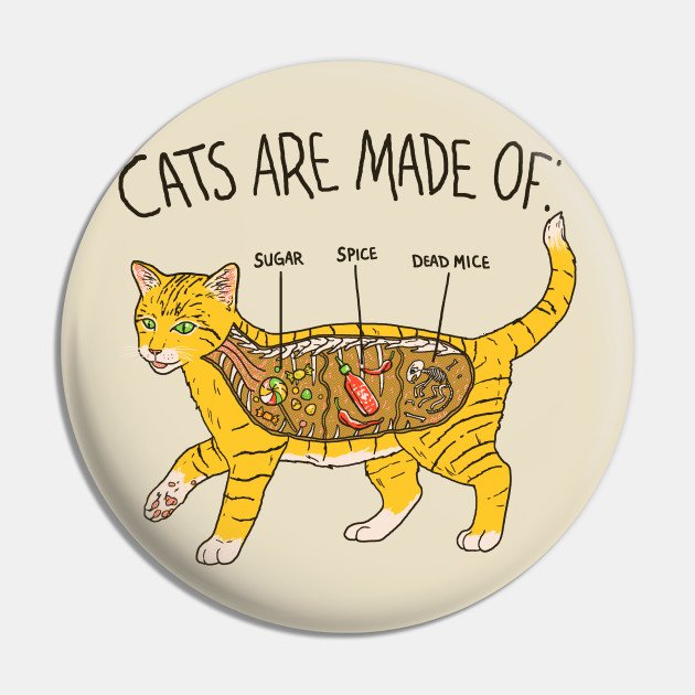 Cat Anatomy