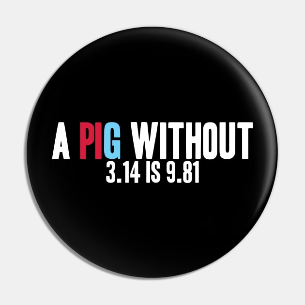 Math Physics - A PIG Without 3.14 Is 9.81 Pin by LetsBeginDesigns