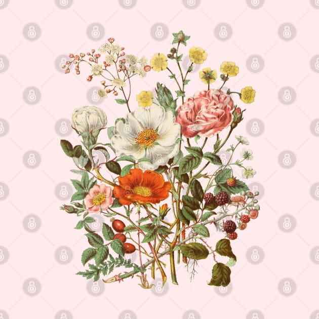 Rose & Wildflowers Vintage Botanical Illustration by Biophilia