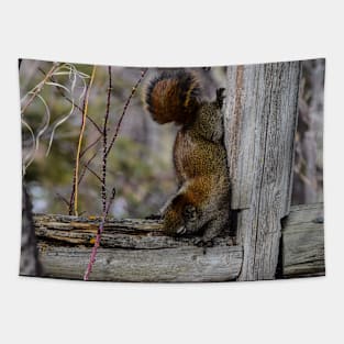 Red Squirrel. Tapestry