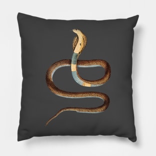 serpent,cobra,reptile,viper,venom,lizard,rattlesnake,king cobra,dragon,hydra,poison,venomous,plumber's snake,pythonidae,pythons,auger,python,squamata,serpentine,worm,big,ophidian,rattlesnakes,medusa,snakebite Pillow