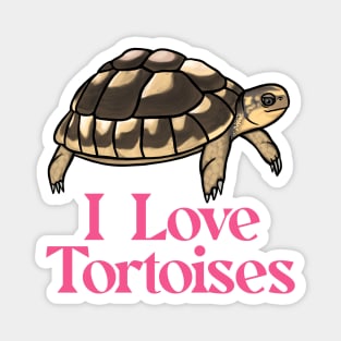 I Love Tortoises Pink for Tortoise Lovers Magnet