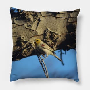 Little Verdin 2 Pillow