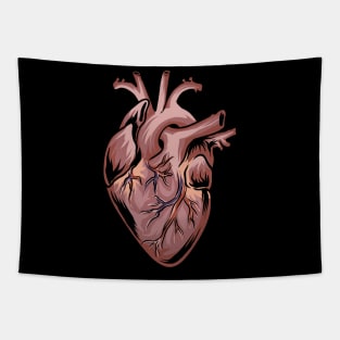 Anatomical Heart - Medical Anatomy Illustration Tapestry