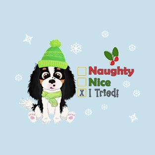 Tri Colored Cavalier Christmas Gifts- Naughty, Nice, I Tried! T-Shirt