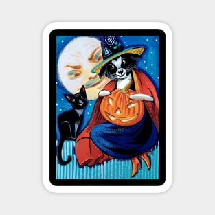 Cute Halloween Witch Magnet