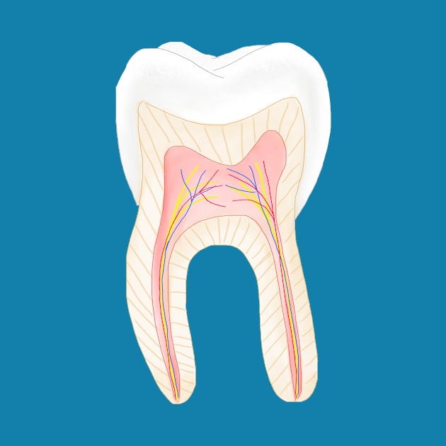 Tooth inside by juttatis