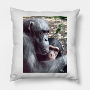 Chimpanzees Pillow