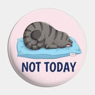 Cute Loafing Cat Pin