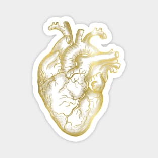 Heart Human Anatomy Gold jellow Magnet