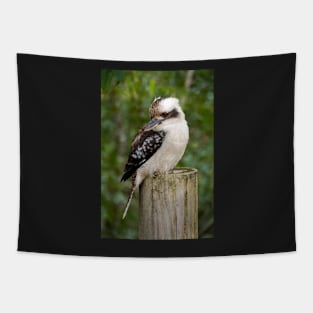 Kookaburra Strikes A Pose Tapestry