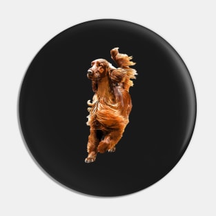 Irish Setter - Glamorous Dog! Pin