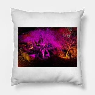 Wisley Christmas Glow Pillow