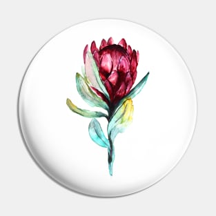 Purple protea flower Pin