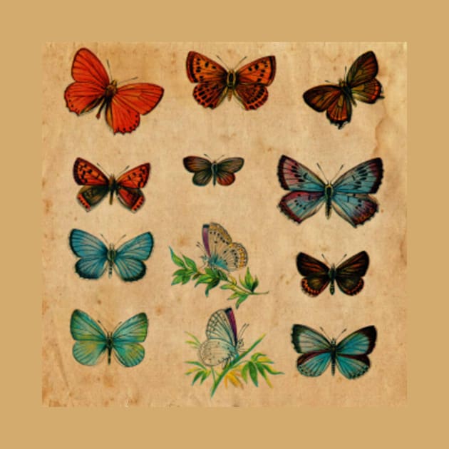 Watercolour Butterflies by My Artsam