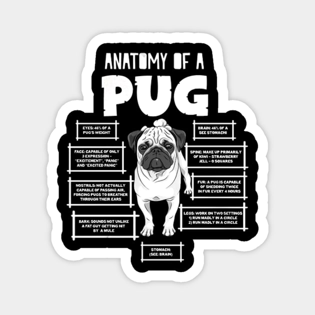 ANATOMY OF A PUG Magnet by OwensAdelisass