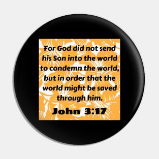 Bible Verse John 3:17 Pin