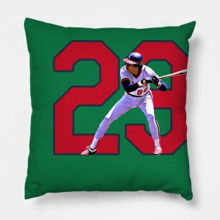 Batting Champion. Pillow