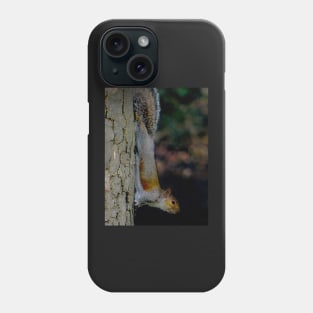 GONE NUTS FOR SQUIRREL YOGA ! Phone Case