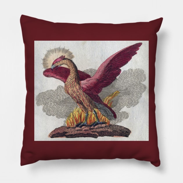 Ancient Phoenix Rises From the Flames Pillow by Star Scrunch