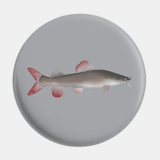 Asian Redtail Catfish Pin