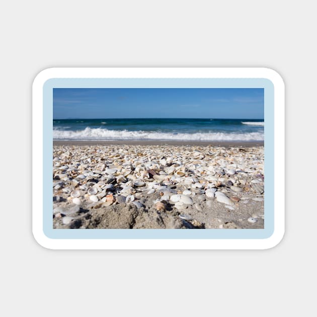 shells on the beach Magnet by sma1050