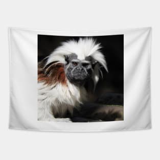 Cotton-top Tamarin Tapestry