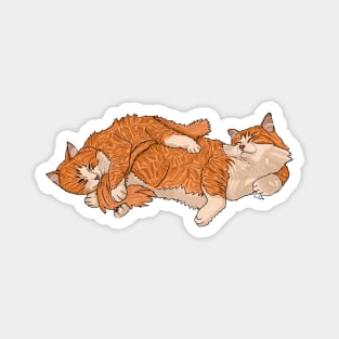 Ginger Cats Cuddly Puddle Magnet