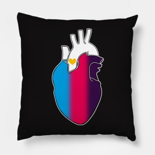 Polyamorous Pride Heart Pillow