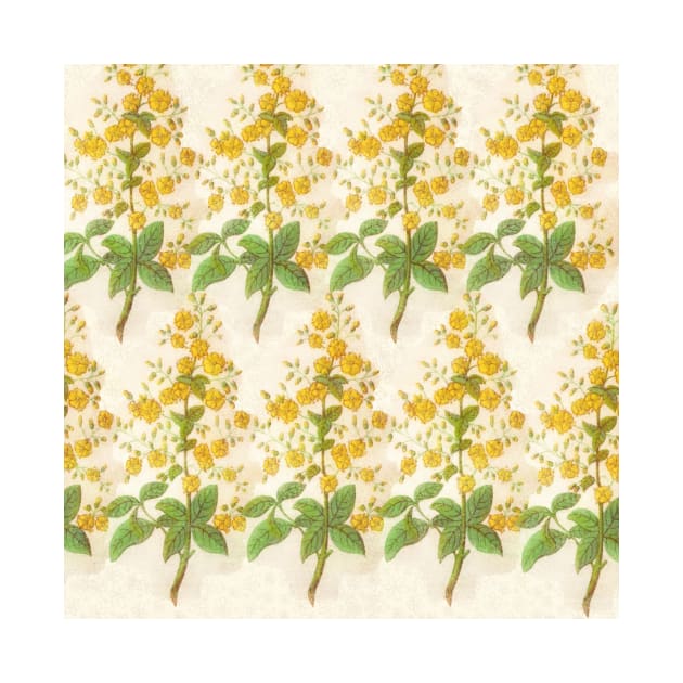 Yellow Floral Pattern by FloralPatterns