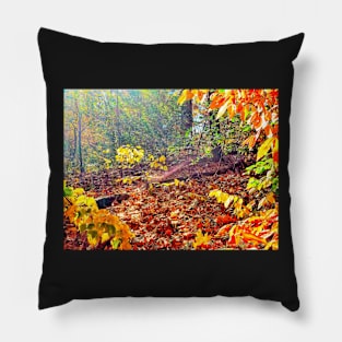 Sun Rays in the Woods Pillow