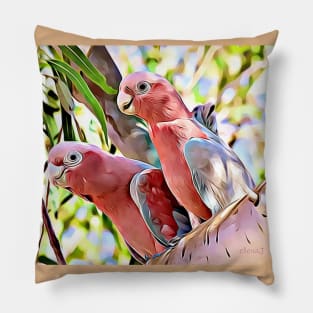 2 Galahs Pillow