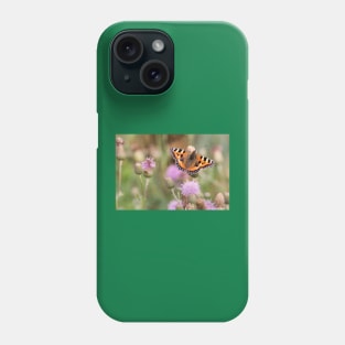 Small Tortoiseshell Butterfly resting in Sunshine Phone Case