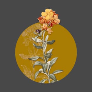Vintage Yellow Wallflower Bloom Botanical Illustration on Circle T-Shirt