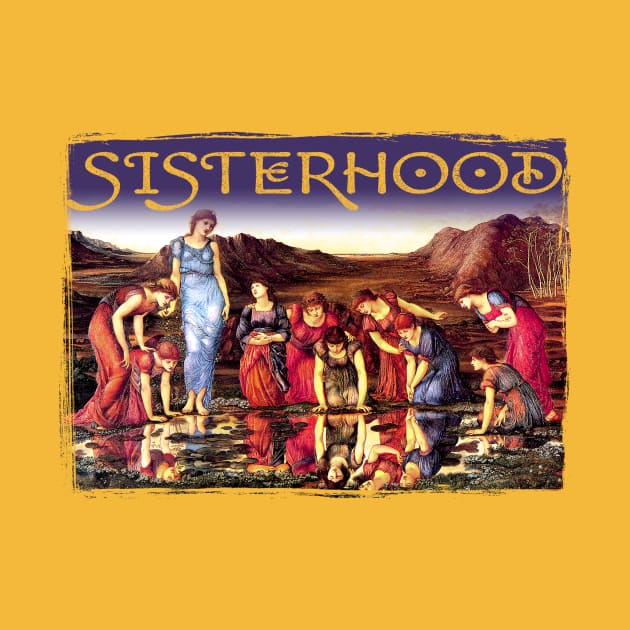 Sisterhood by Pandora's Tees