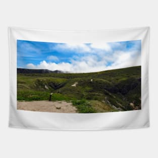 Channel Islands National Park Santa Cruz Island Tapestry