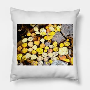 Aspen Leaves and Fall Colors in Colorado Pillow