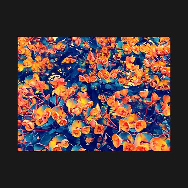 Orange Blue and Pink Flowers by ajdesignsau