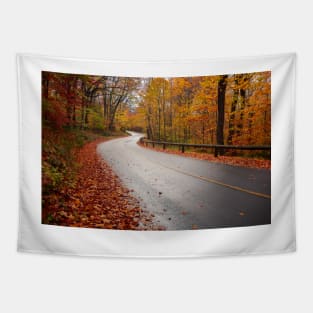 Autumn Road Tapestry