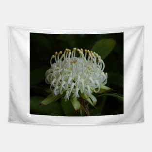 White Waratah 2014 Tapestry