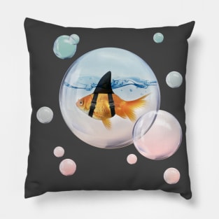 Goldfish with a Shark Fin - Brilliant Disguise Pillow