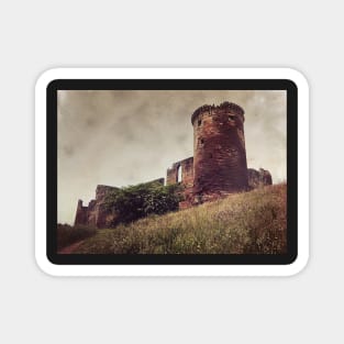 Ruins of Bothwell Castle Magnet