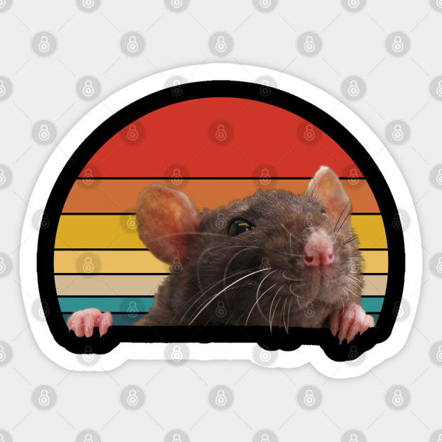 Rat Retro - Rat - Sticker