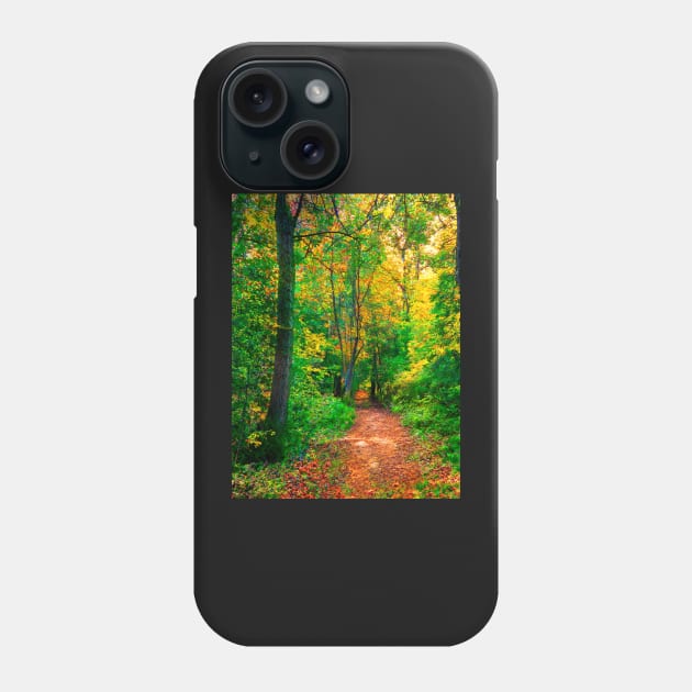 Cotswolds Forest Bridleway Phone Case by Graz-Photos