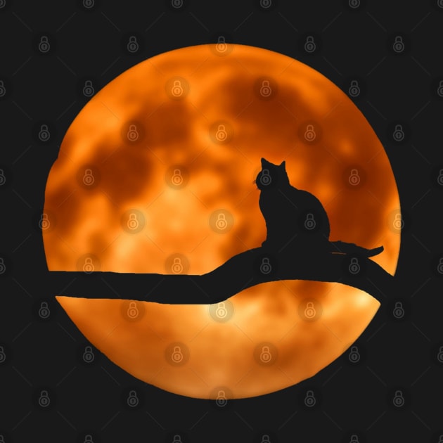 Moon Cat by FattoAMano